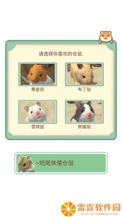 我的仓鼠春节版