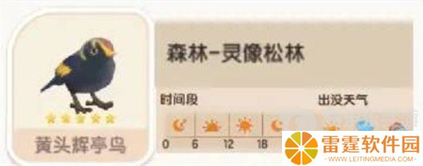 心动小镇黄头辉亭鸟在哪出没 黄头辉亭鸟位置