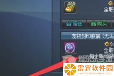 地下城与勇士起源宠物封印胶囊怎么用 宠物封印胶囊使用方法