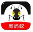 黑蚂蚁影视