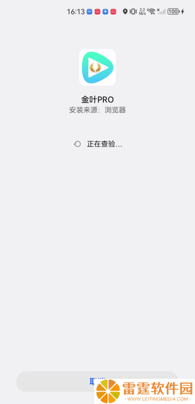 金叶PRO影视