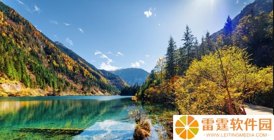 崩坏星穹铁道2025年限定角色抽取指南~策略与技巧&