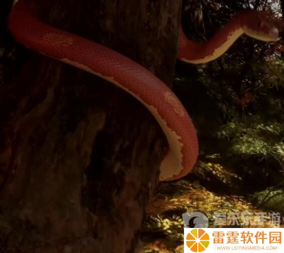黑神话悟空角色有哪些 黑神话悟空角色介绍
