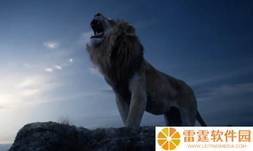 小园丁追剧