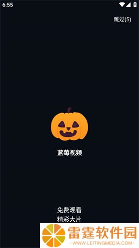 蓝莓视频