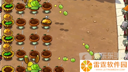 植物大战僵尸杂交版冒险模式第二十五关怎么过 冒险模式第二十五关通关攻略