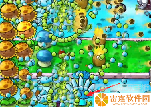 植物大战僵尸杂交版冒险模式第十五关怎么过 冒险模式第十五完美通关攻略