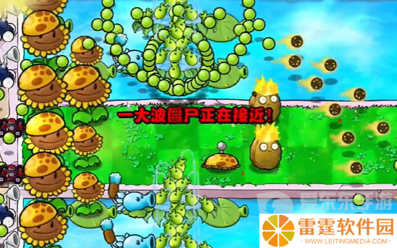 植物大战僵尸杂交版冒险模式第十五关怎么过 冒险模式第十五完美通关攻略