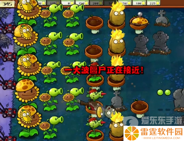 植物大战僵尸杂交版冒险模式第五关怎么过 冒险模式第五关通关攻略