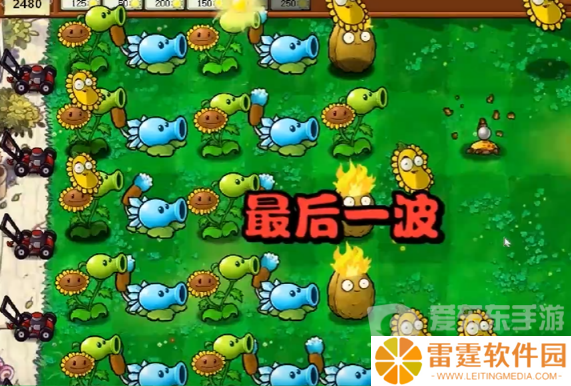 植物大战僵尸杂交版冒险模式第一关怎么过 冒险模式第一关图文通关流程