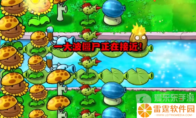 植物大战僵尸杂交版冒险模式第十二关怎么过 冒险模式第十二关完美通关教程