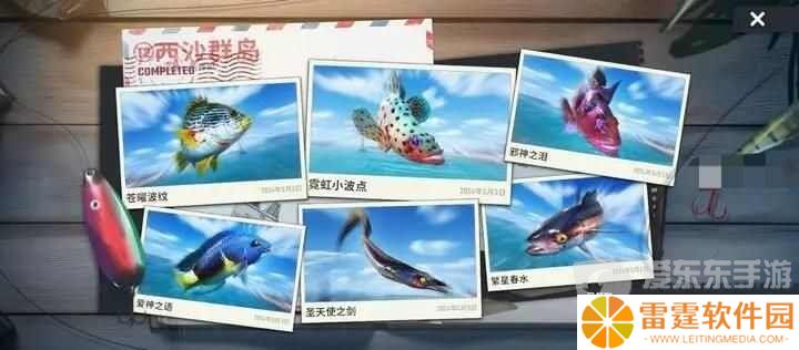 欢乐钓鱼大师T3新地图鱼类图鉴 T3新地图鱼类一览