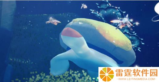 光遇海洋节持续时间介绍 光遇海洋节开始及结束时间一览