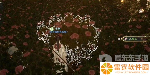 射雕手游木槿花怎么收集 木槿花收集方法介绍