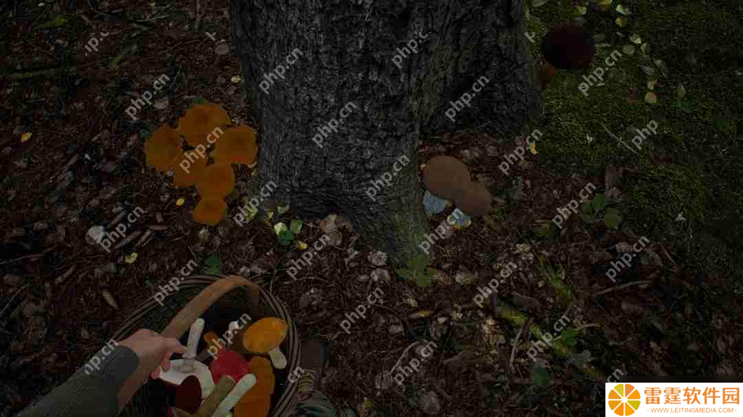 采蘑菇模拟游戏《蘑菇猎人模拟器》上架Steam Q3发售