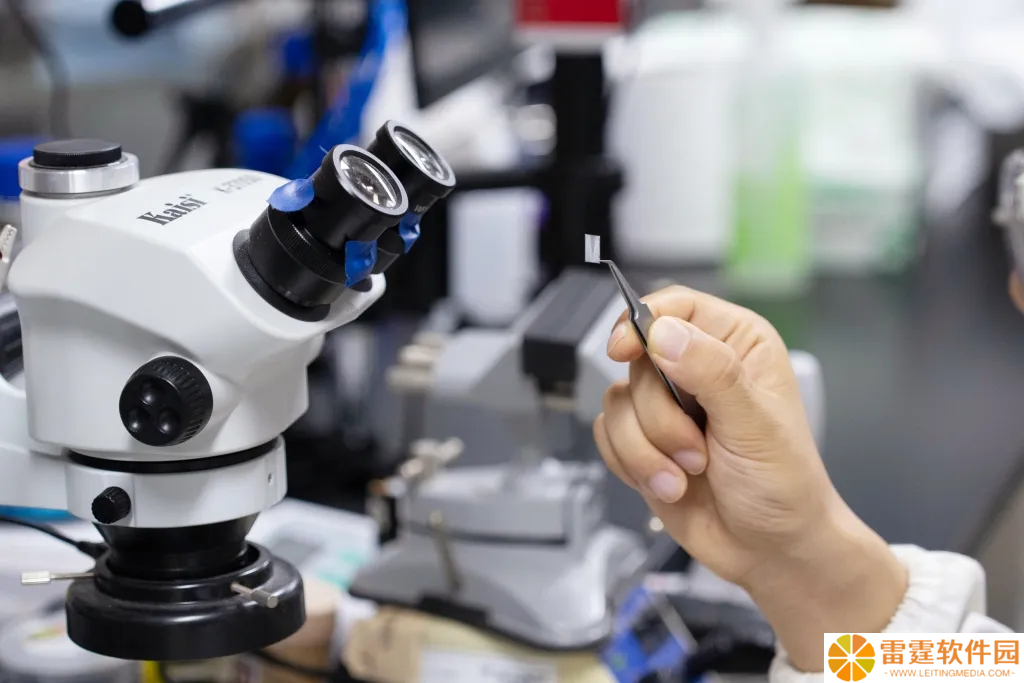 复旦科学家研发出金属视网膜假体，使失明动物恢复视觉功能