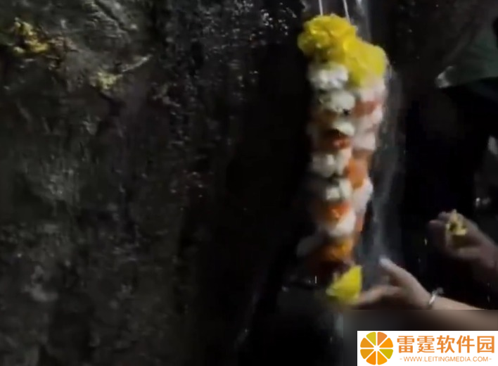 印度一棵树突然冒“圣水” 民众献花环 真相曝光尴尬