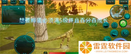 诅咒之岛