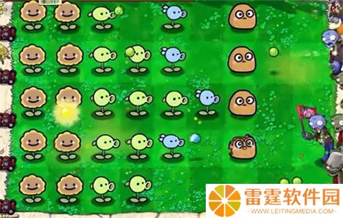 植物大战僵尸宝宝版