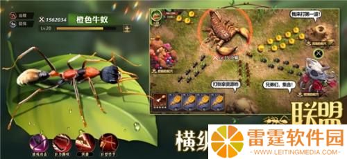 小小蚁国怎么提升战力最快 小小蚁国战力提升攻略详解