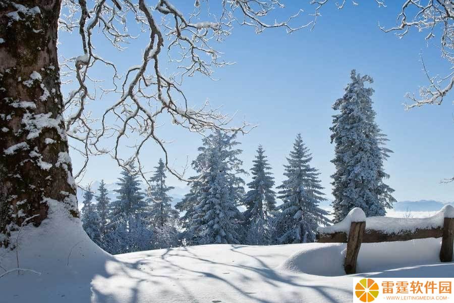 蓝牙音箱音质大揭秘：同轴与全频，哪种声音风格更动你心？