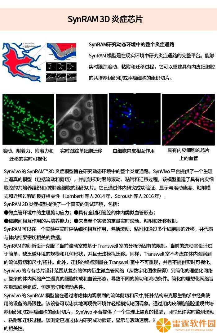 SynBBB芯片：智能设备新动力，未来科技新篇章