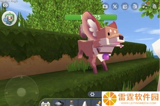 迷你世界怎么驯服狐狸 狐狸的驯服方法