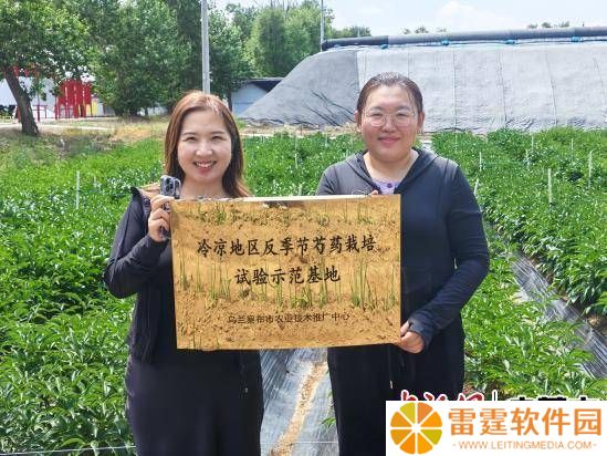 乌兰察布芍药鲜切花首出国门，集宁海关助力花卉产业绽放国际舞台