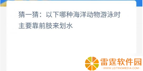“哪种海洋生物在游动时主要依赖其前肢划水？”