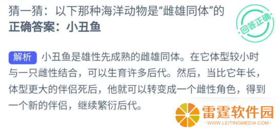 揭秘：哪种海洋生物既为雌也为雄？
