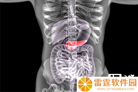 科研团队成功使用定制生物墨水 3D 打印出人类胰岛细胞组织，为治疗 Ⅰ 型糖尿病带来新希望