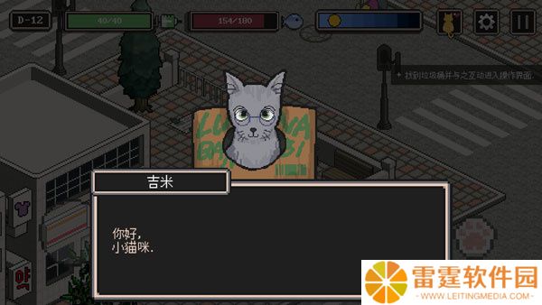 流浪猫的故事